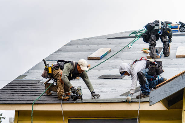Professional Gutter Installation technician working in Julian, NE
