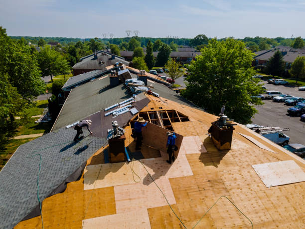 Trusted Roof Replacement service in Julian, NE - Brentwood Metal Roofing